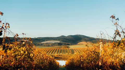 HOOSEGG Cellar Door - Goulburn Accommodation 1