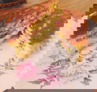 Little Lord - Goulburn Accommodation