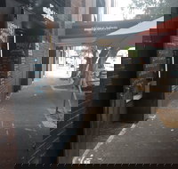 Matty and John's Espresso Bar - Goulburn Accommodation