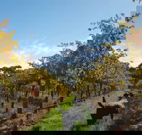 Ruddenklau Wines - Goulburn Accommodation