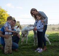 Sunhill Dairy Goats and Sunhill Skin Essentials - Goulburn Accommodation