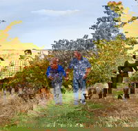 WayWood Wines - Goulburn Accommodation