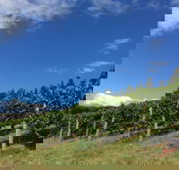 Freycinet Vineyard - Goulburn Accommodation