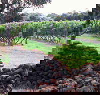 Spring Vale Vineyard - Goulburn Accommodation