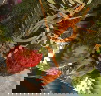 7 By The Lake - Goulburn Accommodation