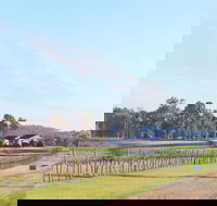 Blacklea Vineyard and Olive Grove - Goulburn Accommodation