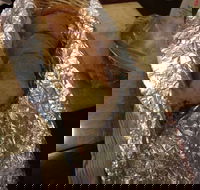 North Rocks Gourmet Pizza - Goulburn Accommodation