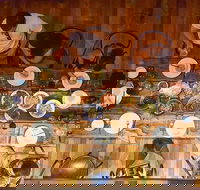 The Dark Horse - Goulburn Accommodation