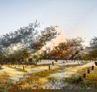 Guneemooroo Estate - Goulburn Accommodation