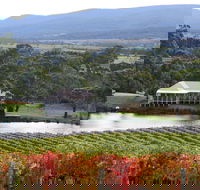 Milton Vineyard - Goulburn Accommodation