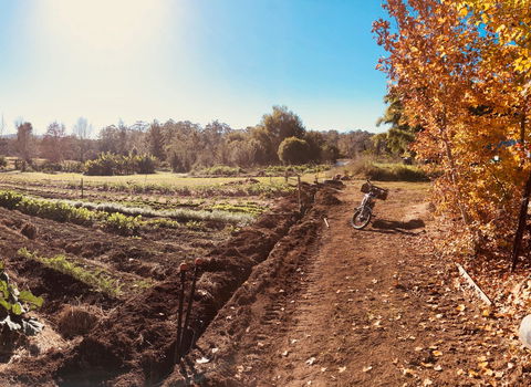 Synchronicity Farm - Goulburn Accommodation 1