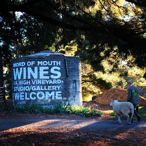Word Of Mouth Wines - Goulburn Accommodation 1