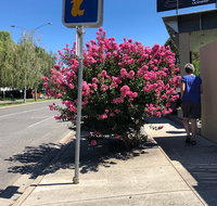 Alpine Gate Cafe - Goulburn Accommodation