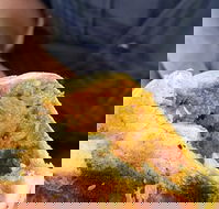 Brighton's Best Bakehouse - Goulburn Accommodation