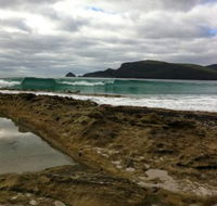 Bruny Island Berry Farm - Goulburn Accommodation