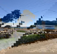 Penguin  Pardalote Coffee House - Goulburn Accommodation