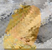 Scotsmans Fish  Chips - Goulburn Accommodation