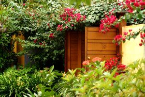 Pink Flamingo - Goulburn Accommodation 0