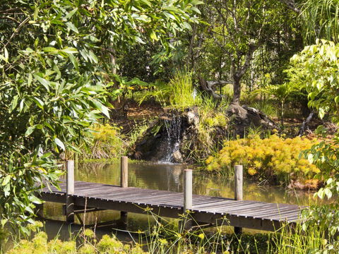 Cedar Park Rainforest Resort - Goulburn Accommodation 0