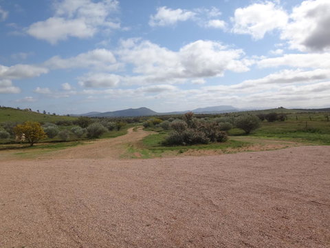 Windana Cottages - Goulburn Accommodation 37