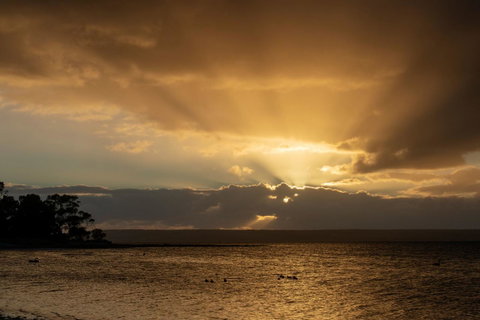 Mercure Kangaroo Island Lodge - Goulburn Accommodation 16