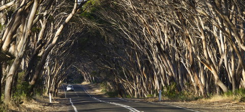 Mercure Kangaroo Island Lodge - Goulburn Accommodation 40