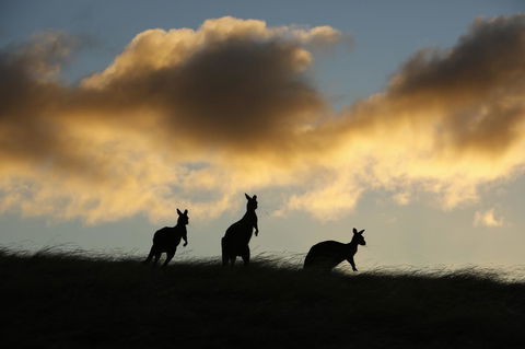 Sky House Kangaroo Island - Goulburn Accommodation 37