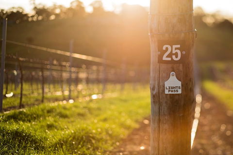 The Louise - Goulburn Accommodation 44