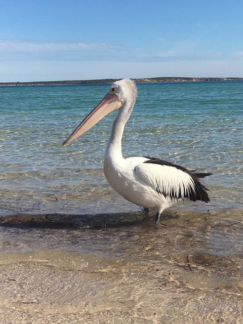 Sail & Anchor - Goulburn Accommodation 2