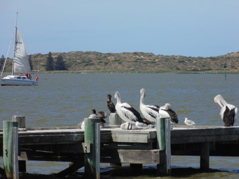 Baronet B & B - Goulburn Accommodation 20