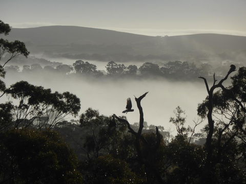 Molly's Chase - Goulburn Accommodation 28