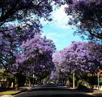 Monaco Court Apartment Adelaide - Goulburn Accommodation