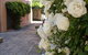 Monaco Court Apartment Adelaide - thumb 19