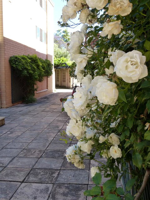 Monaco Court Apartment Adelaide - Goulburn Accommodation 19