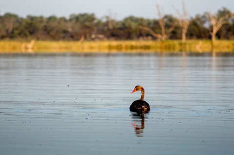 Discovery Parks - Lake Bonney - Goulburn Accommodation 36