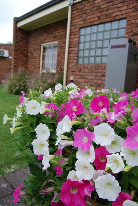 Arkana Motor Inn & Terrace Apartments - Goulburn Accommodation 40
