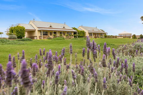 Barossa Vineyard Cottages - Goulburn Accommodation 10