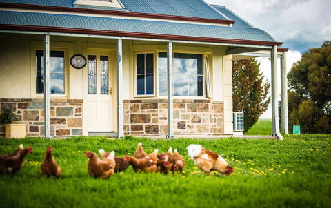 Barossa Vineyard Cottages - Goulburn Accommodation 40