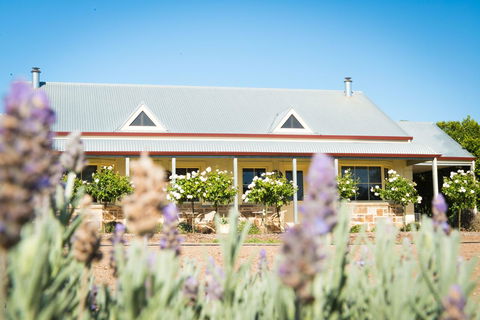 Barossa Vineyard Cottages - Goulburn Accommodation 3