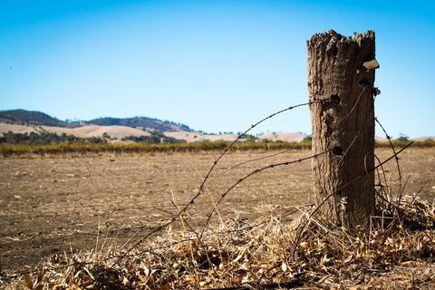 Barossa Vineyard Cottages - Goulburn Accommodation 5