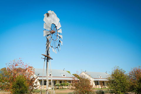 Barossa Vineyard Cottages - Goulburn Accommodation 6