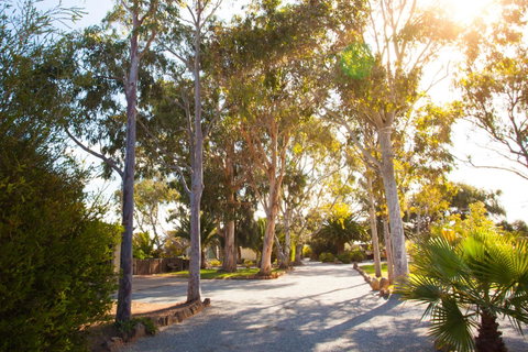Modra\'s Apartments - Goulburn Accommodation 0