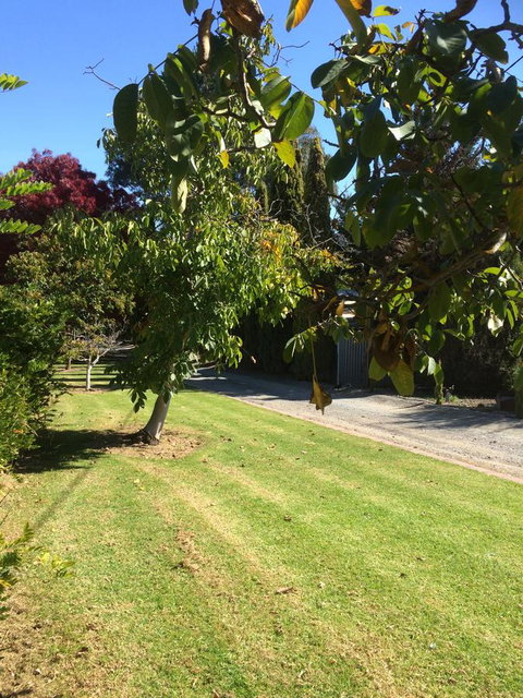 Vineyard Cottage BnB - Goulburn Accommodation 17