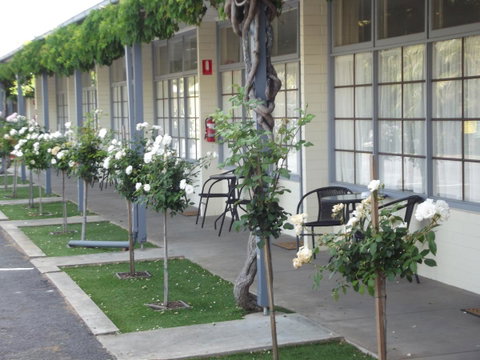 Guichen Bay Motel - Goulburn Accommodation 38