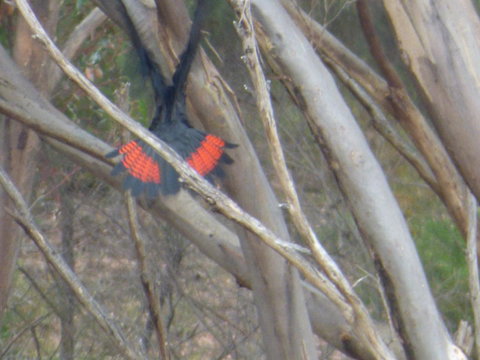 Saar River House - Goulburn Accommodation 5