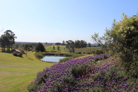 Beltana Villas - Goulburn Accommodation 7