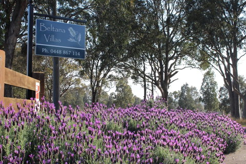 Beltana Villas - Goulburn Accommodation 10