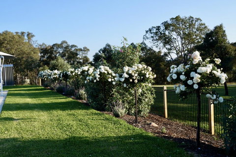Beltana Villas - Goulburn Accommodation 2