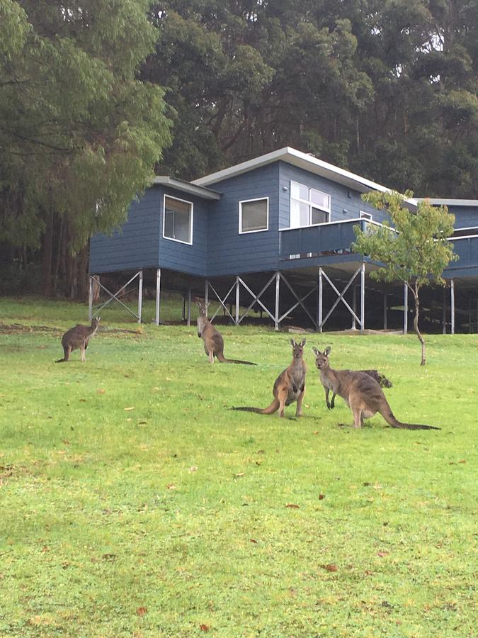  Goulburn Accommodation
