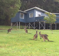 Blue House Denmark - Goulburn Accommodation